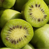 Aktinidia pstrolistna Dr Szymanowski