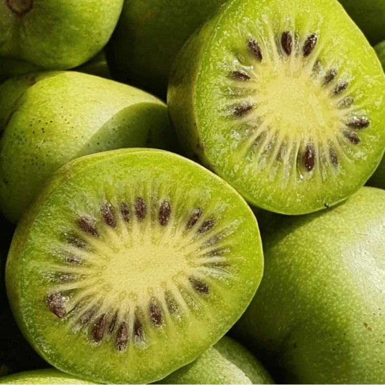 Aktinidia pstrolistna Dr Szymanowski