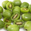 Mini kiwi Issai - samopylne