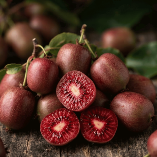 Mini kiwi Ken's Red