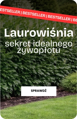 Laurowiśnia