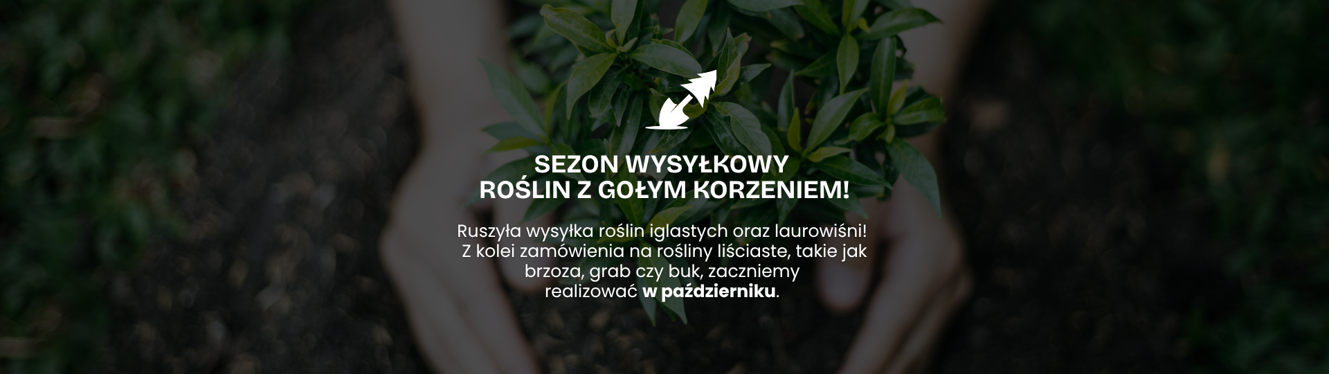Sezon na sadzonki - wrzesień i październik
