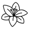 Krzewy ozdobne