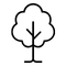 Drzewa liściaste