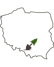 Mapa Polski z lokalizacją Pilchowice