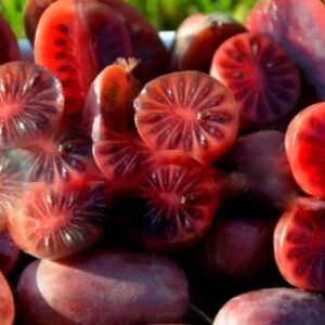 f7a90ce9bf9e3e085a476b9fb09a2120