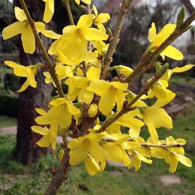 0a32ac35ba97c7ba6080e6217a24d8e7