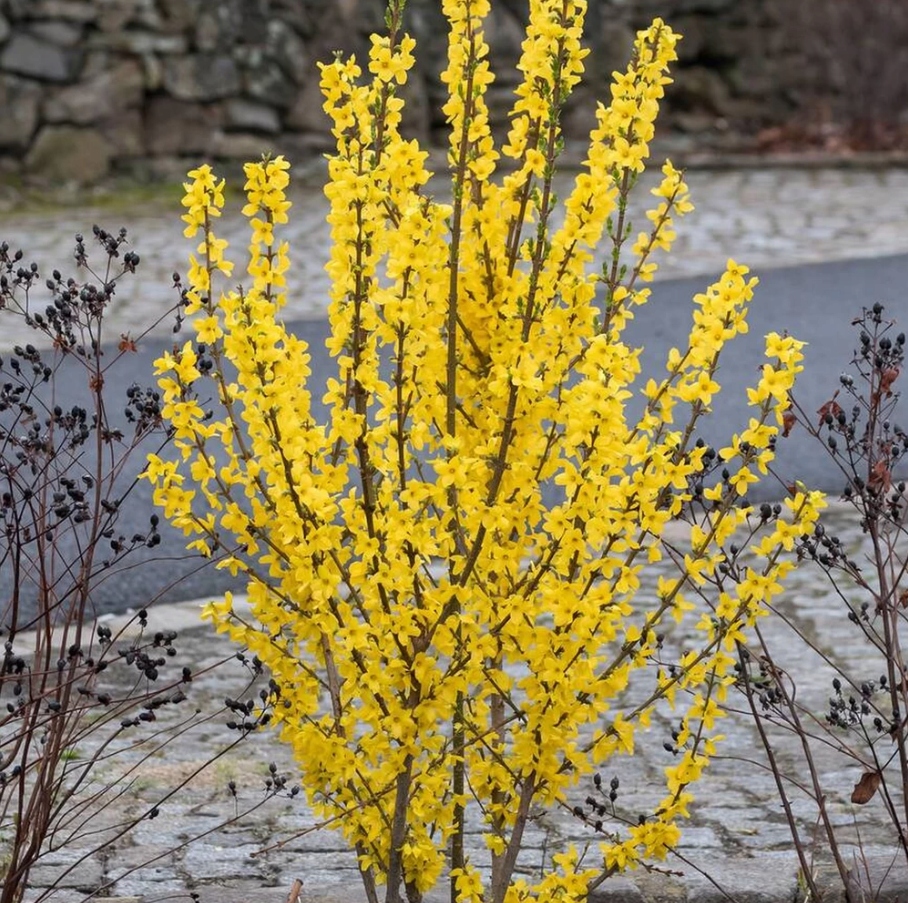 33fdb5260c17748f914649d48490e496