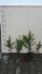 588d0353c21a7d68d2bddb0ab816a950