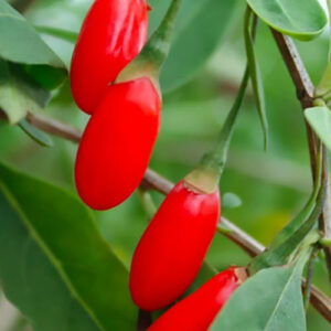 69db3ab7b4b19fd6b1a5bd1641e62f41