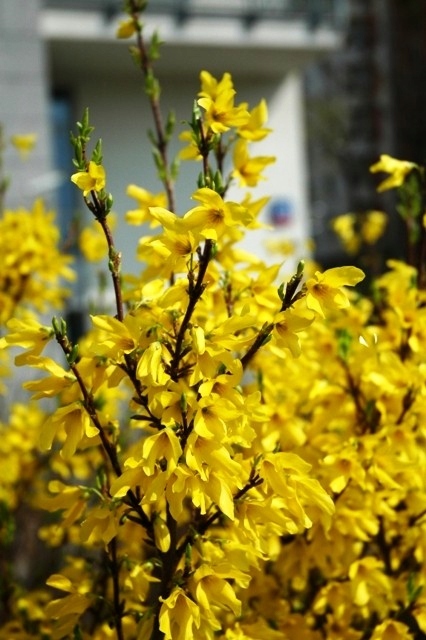 d5bcf7605488ce7eee5e0d1ce93beac1