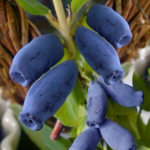 eeb06ace5484386c44d683050fd3148b