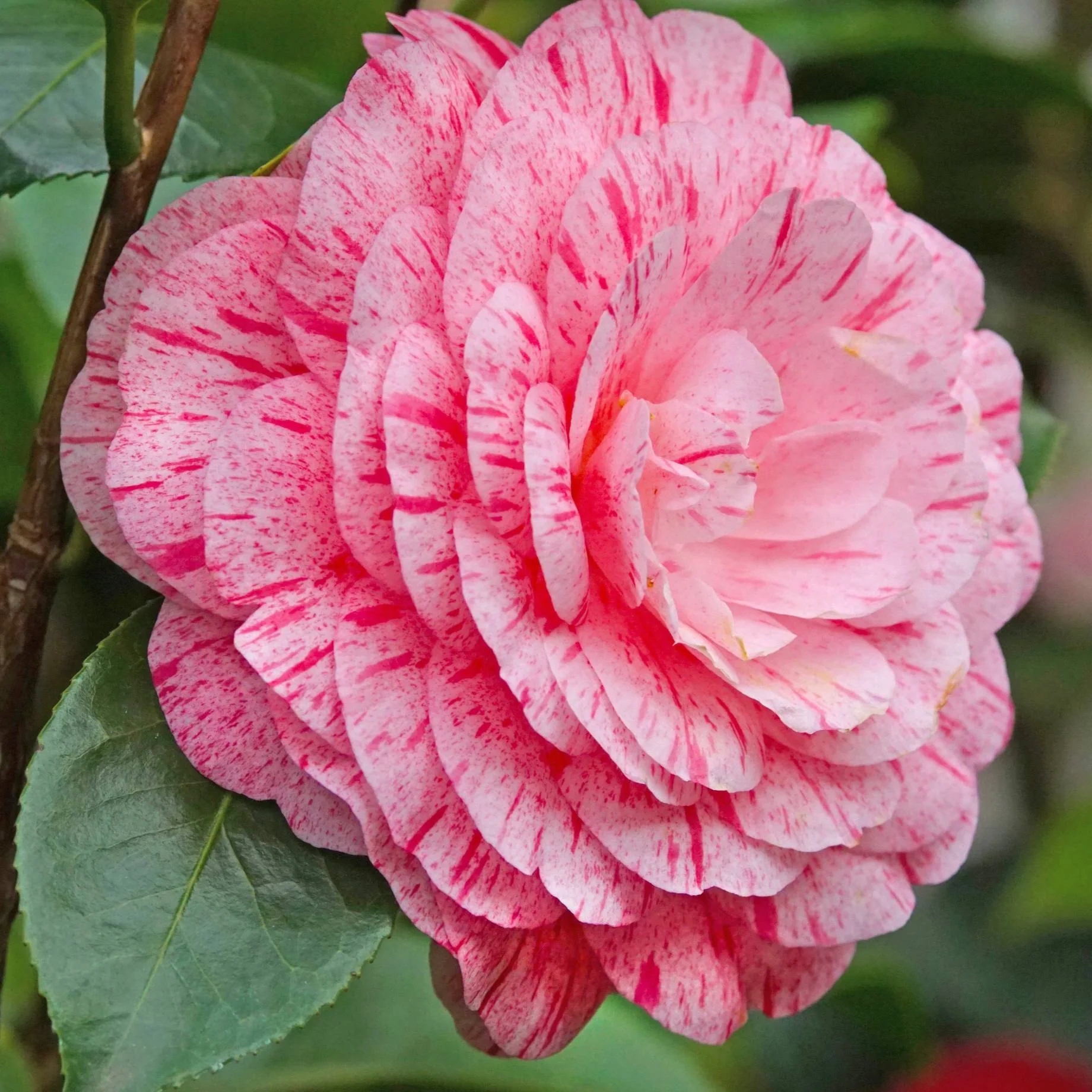 f3543b20b83f5f7152a6885ba5cce711