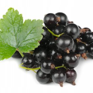 f33c46ad3465ac514fdffde541a94ea5