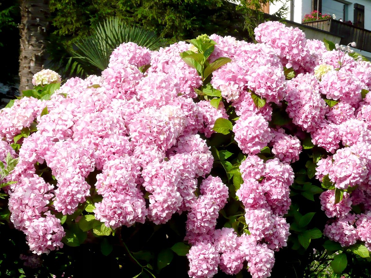 f69f5583315efa22c91a550ea3fcaff1