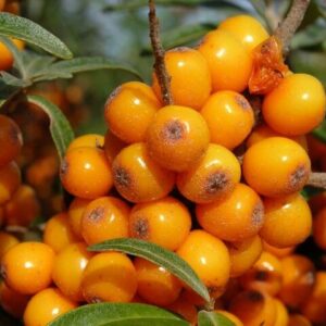 9c17466d6a738c154d685b49bbdb443f