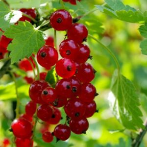 7bb0a290d80322d267d496f98f2f5b86