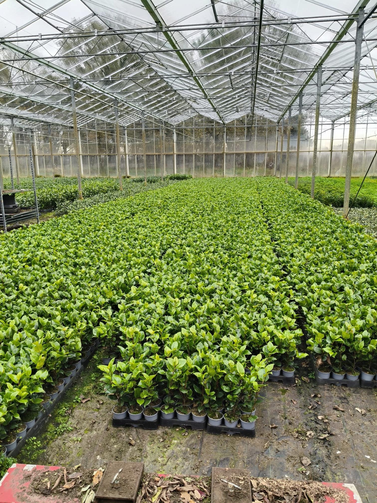 ae0da4830de0d6d2c5f2522ab1c951fb