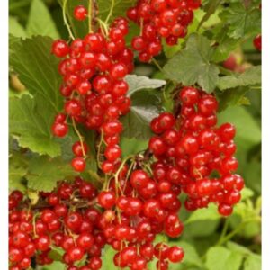 3645ab9ef8645c429aae9f8bc87e9c42