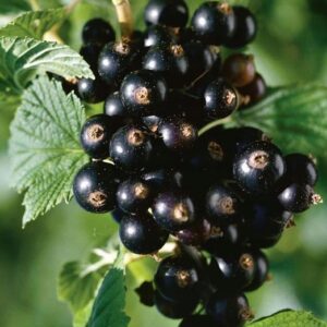 163ea8c16ecf9e604d104056a302f846