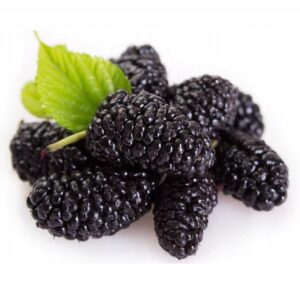 dc05fb15338711035fa43c07cba5236a