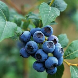 94cc9c4a5e8c1c0802f193fba073aff7