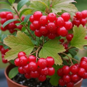 0920b313123a6581d6e9ff320006354d