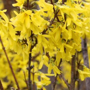 813f570c19ecb1c50c1672a20bc5c319