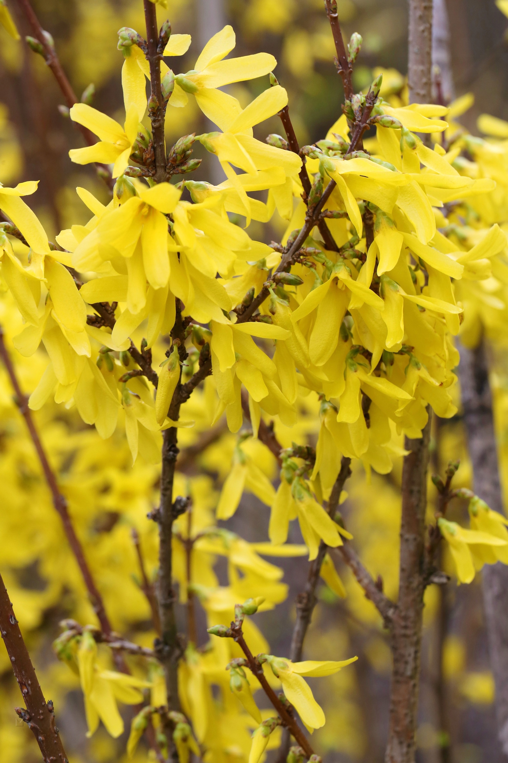 813f570c19ecb1c50c1672a20bc5c319