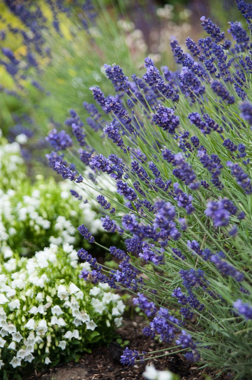 aa3456d4da3f7fe08684be6a54c4601c