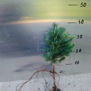 cc326642f86b60f7e46ca1f2063571b7