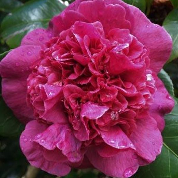 7149ff025f1bd64bb69241a5c4351e65