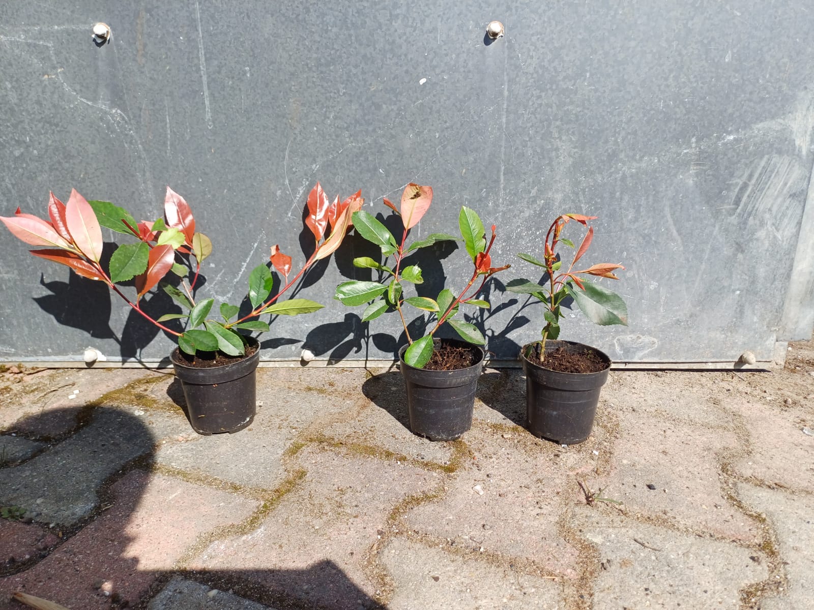 602654eb2da32c599d55c2d541dd8f56