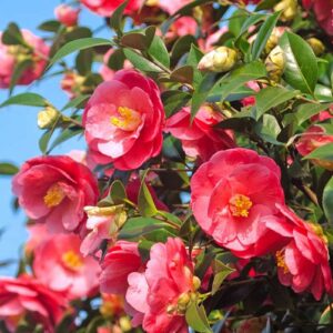 7b7a364e5bd4a424f9f0067c5a47d20a