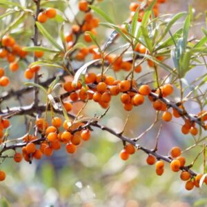 f52ca5aacc5db8e2e9b1677205c37994