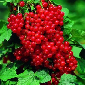 d96bc66127edd51eb92dec4751d35bb7