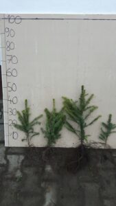 7b2f0d25565dec5168a59a4dfafae981