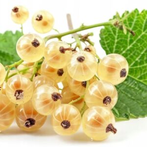 7c09810bb186fb36dc70be5aa0f2226d