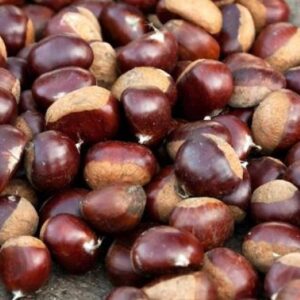 8661f62a0c788e4879e43bb2b40e0f37