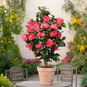 81e08157ca900d2e0de9637d79a00d86