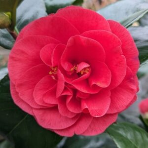 823c7e3177994190d45701503e602460