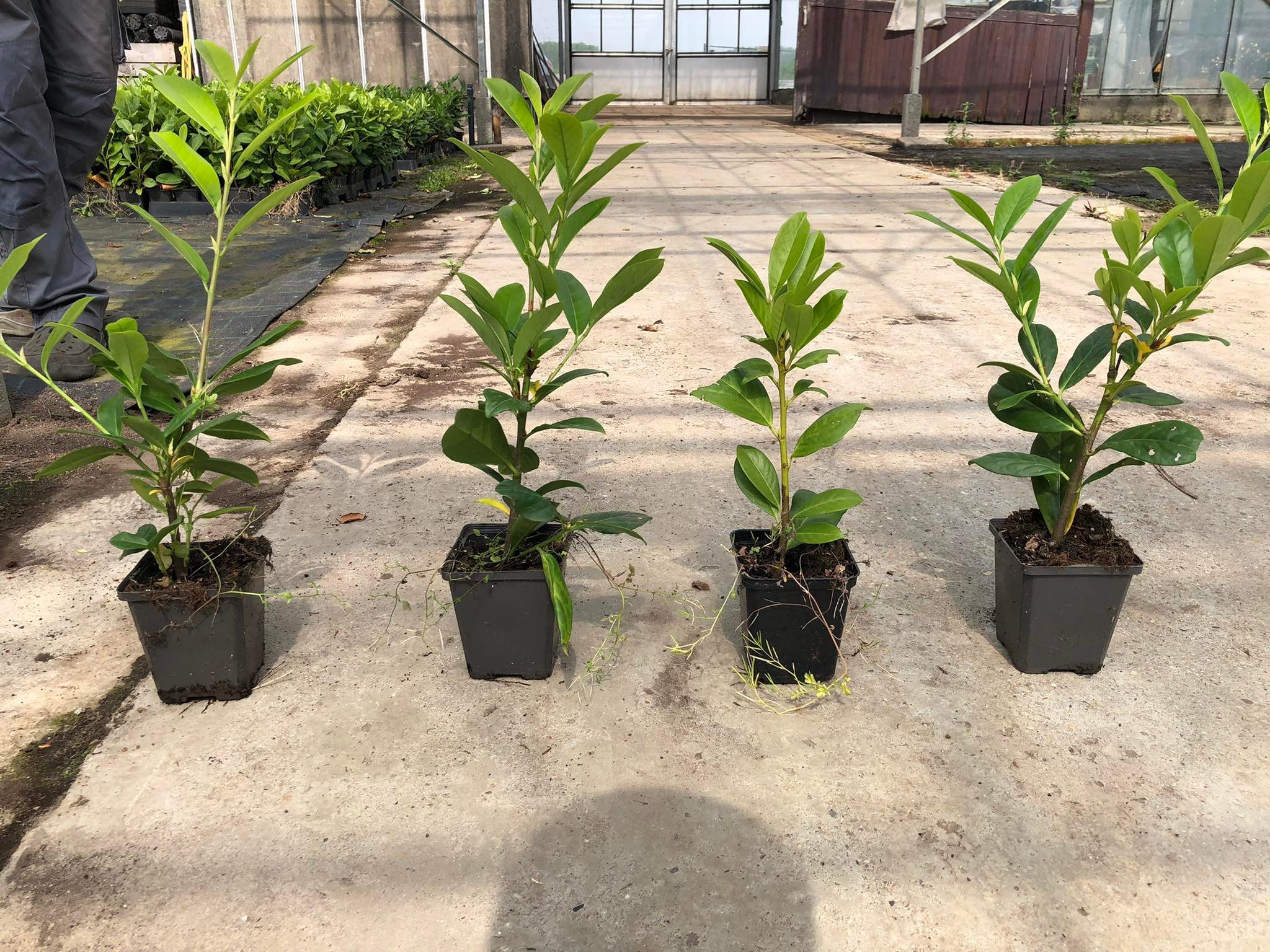 e184f5804b0015558f4b7d83f5d67df6