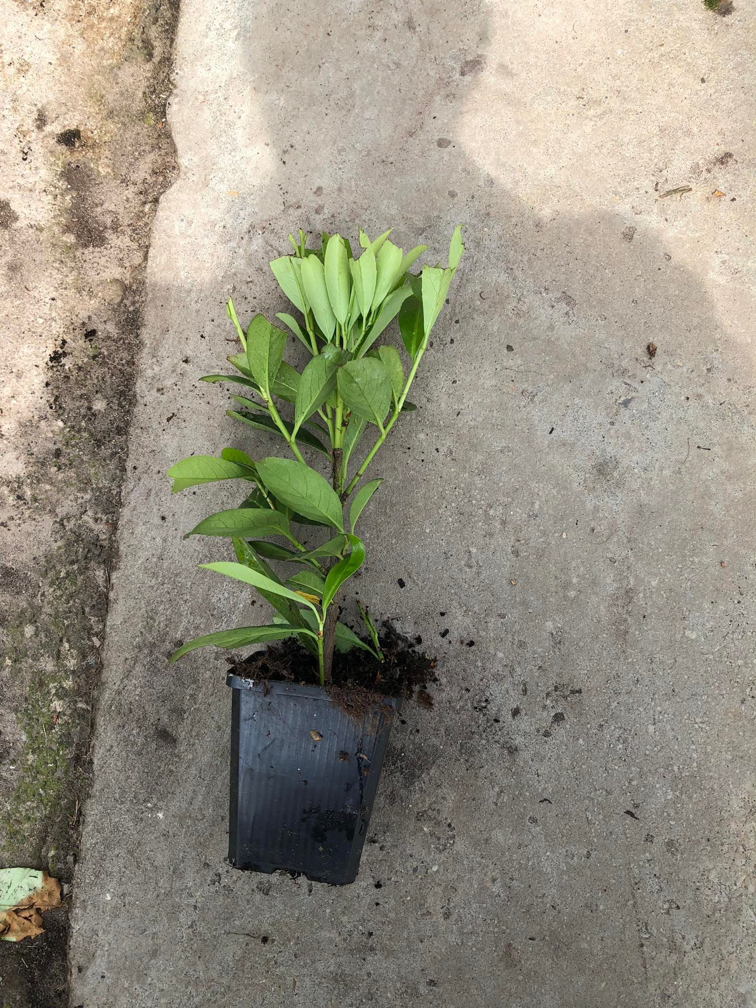 ebc41f93e4a1883d4fa7f30a0f8e6ada