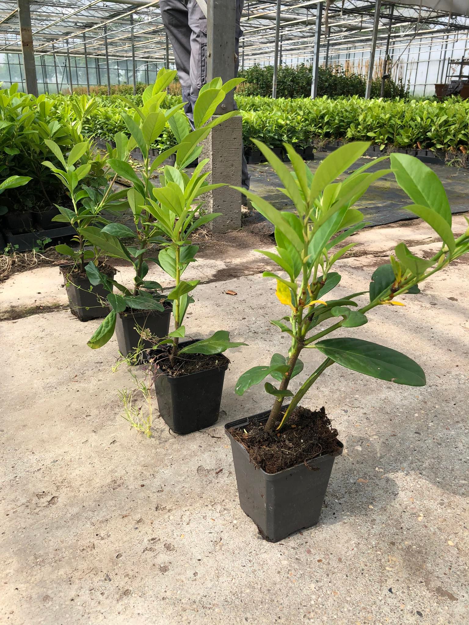 b14efc03618ad45510f8ed28e617fa61